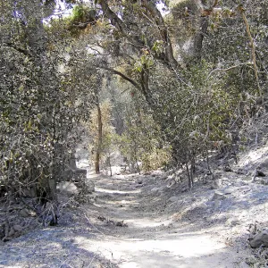 Jesusita Fire, damage in the Canyon