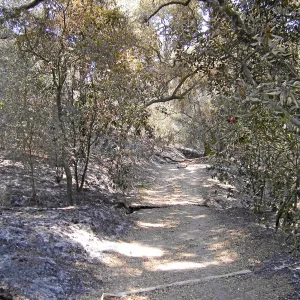 Jesusita Fire, damage in the Canyon