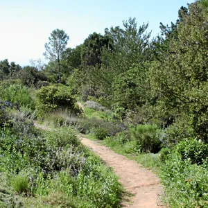 Porter Trail,West path, south