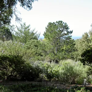 Porter Trail,East path, southwest
