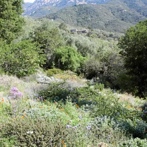 Porter Trail, East path, northeast