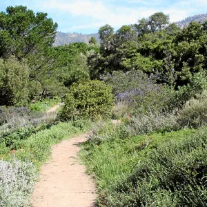Porter Trail, West path north
