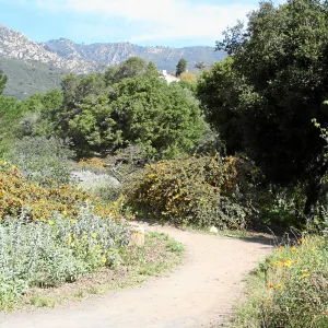 Porter Trail, wooden north gate