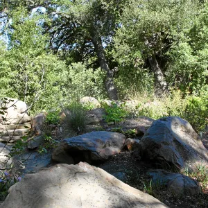 Meadow, main path west