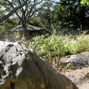 Brook, across display south