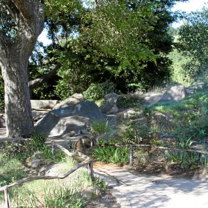 Meadow,Main path, west