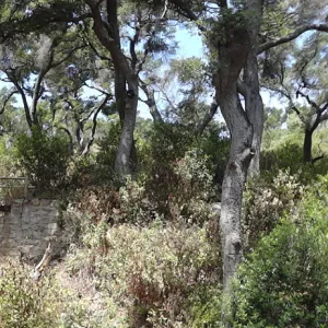 Canyon Trail, panorama