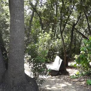 wood bench, Canyon Trail, panorama