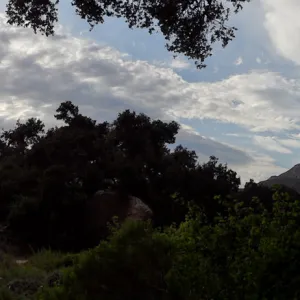 SBBG lower Meadow, monsoon clouds, late afternoon, natural window, view to mountains, Desert Section