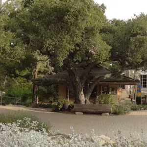 view from Meadow to Entrance Kiosk, Gift Shop, Desert Section, panorama