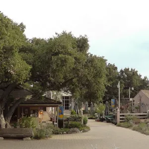 view from Meadow to Entrance Kiosk, Gift Shop, Desert Section, panorama