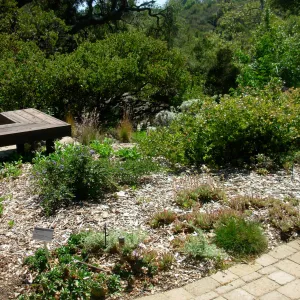 Home Demonstration Garden, SBBG