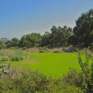Meadow, view down to Blaksley Library, Santa Cruz Island in background, lawn