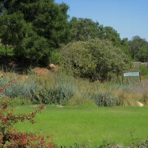 Meadow lawn, stained glass art exhibit