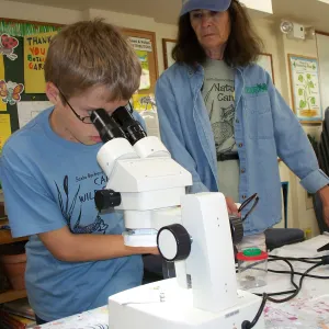Alex, Mission Creek, SBBG Camp Wildflower, summer nature camp, July 2012
