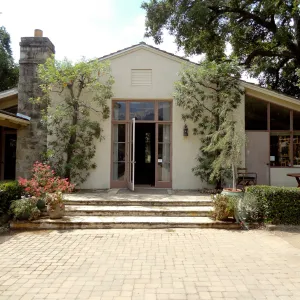 Blaksley Library, Courtyard entrance, potted plants on steps, espaliered Santa Cruz island Ironwood