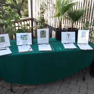 SBBG Fall Plant Sale 2010