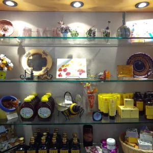 SBBG Gift Shop interior, products