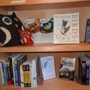 SBBG Gift Shop interior, products