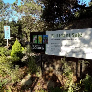 Fall Plant Sale banner, entrance boulders