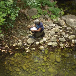 Steelhead trout release below Mission Dam. Gaytha Morningstar checks water temperature and oxygen content.