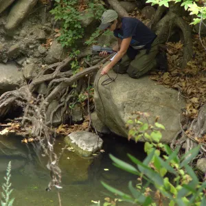 Steelhead trout release below Mission Dam. Gaytha Morningstar checks water temperature and oxygen content.