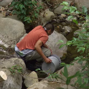 Steelhead trout release below Mission Dam. Releasing the smaller fish.