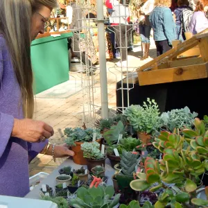 SBBG Holiday Marketplace, 2011