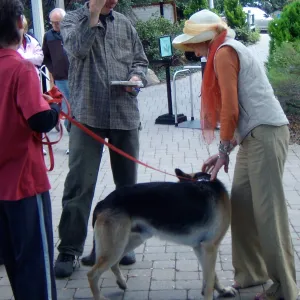 dog on leash, SBBG Holiday Marketplace, 2011
