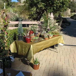 SBBG Holiday Marketplace, 2006