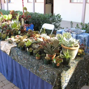 SBBG Holiday Marketplace, 2006
