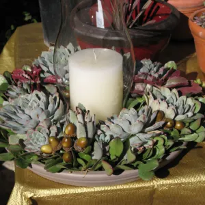 succuletnt centerpiece, candle, SBBG Holiday Marketplace, 2006