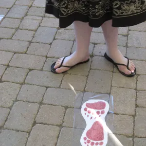 SBBG Holiday Marketplace, 2006