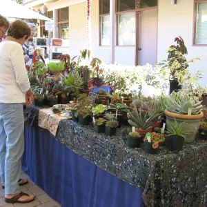 SBBG Holiday Marketplace, 2006