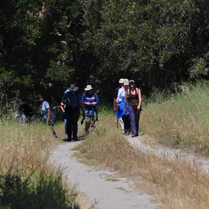 Garden field trip to Indian Knob, San Luis Obispo county