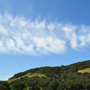 Garden field trip to Indian Knob, San Luis Obispo county