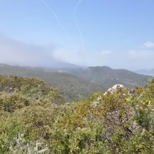 Garden field trip to Indian Knob, San Luis Obispo county
