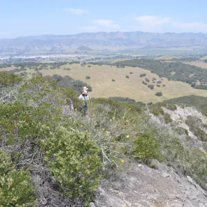 Garden field trip to Indian Knob, San Luis Obispo county