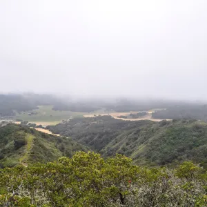 Garden field trip to Indian Knob, San Luis Obispo county