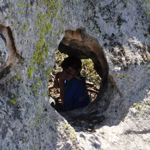 Garden field trip to Indian Knob, San Luis Obispo county