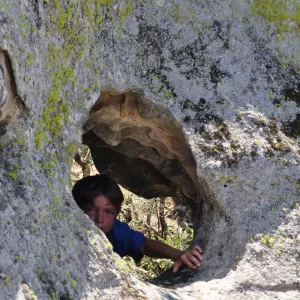 Garden field trip to Indian Knob, San Luis Obispo county