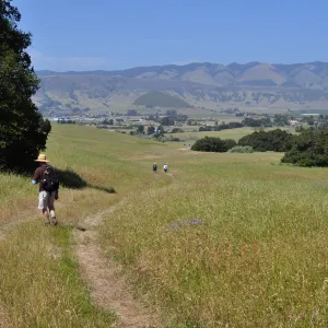 Garden field trip to Indian Knob, San Luis Obispo county