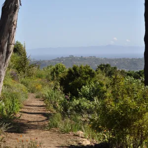 Porter Trail