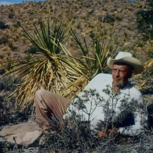 CH Muller and Quercus hinckleyi, TX (see Cataloging Support DocumentsMuller)