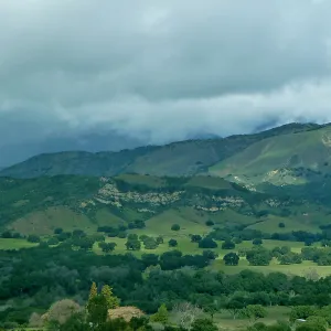 Santa Ynez Valley, Oak plateau, oak woodland, SBBG Photo Contest 2013