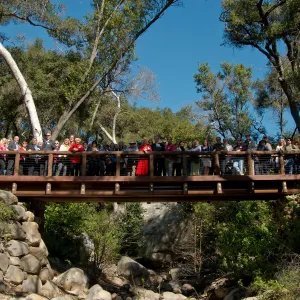 Campbell Bridge opening event, February 14, 2013, community bridge crossing, group photo