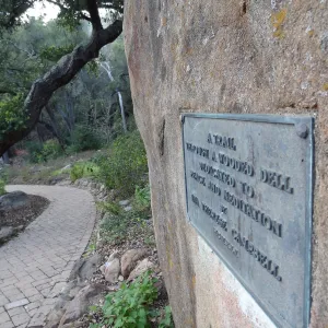 Campbell Trail, plaque on boulder, Spring in the Garden, February 2013, SBBG