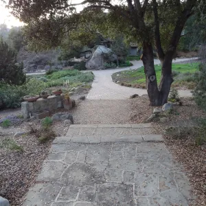 stone steps and path to Blaksley Boulder, Spring in the Garden, February 2013, SBBG