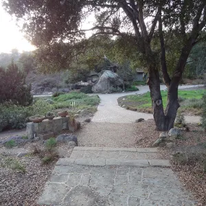 stone steps and path to Blaksley Boulder, Spring in the Garden, February 2013, SBBG