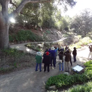 Winter Morning Bird Walk with Rebecca Coulter in the Arroyo Section, Spring in the Garden, February 2013, SBBG